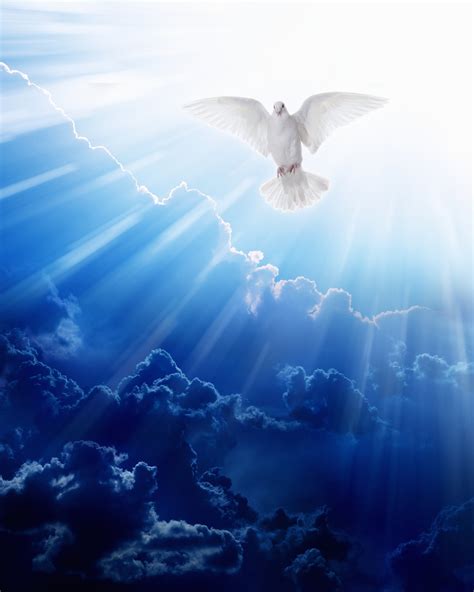 heavenly spirit
